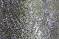 Marston St Lawrence fibreglass roof work